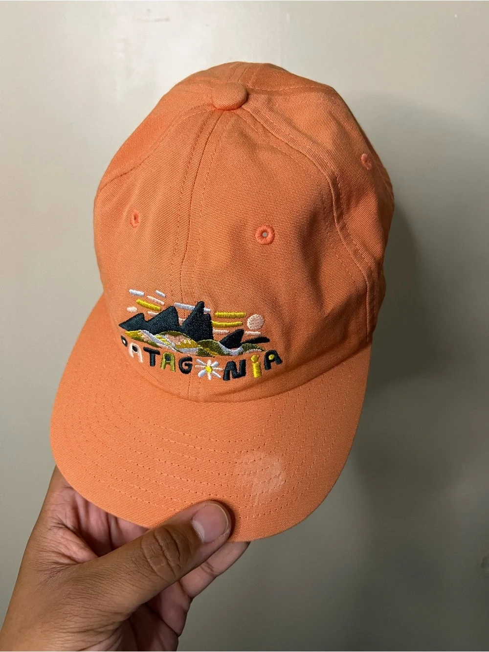 Patagonia funhoggers fitz